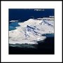 Arctic Greenland 027